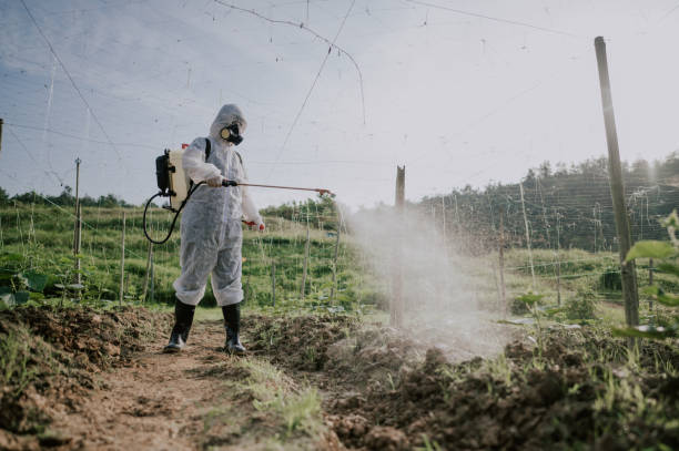Best Best Pest Control Companies  in Lake Catherine, IL