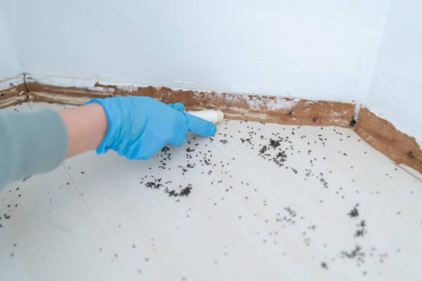 Best Commercial Pest Control Services  in Lake Catherine, IL
