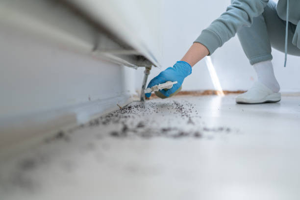 Best Pest Control Treatment  in Lake Catherine, IL